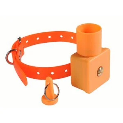 Beeper Tasma
